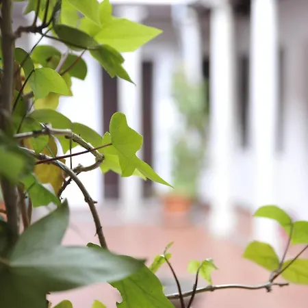 Adanar-las Columnas Apartman