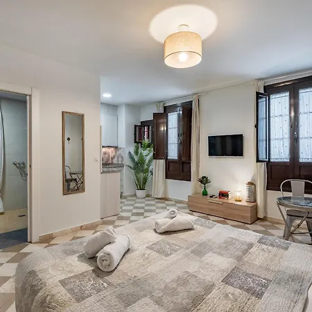 Apartment Adanar-Las Columnas Granada