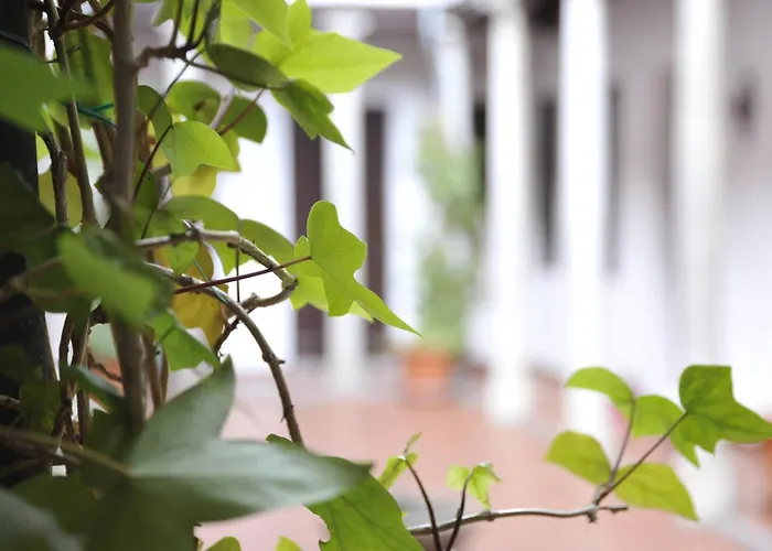 Adanar-las Columnas Appartement